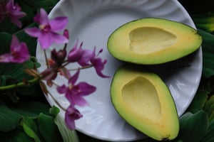 avocado-bright-color-997389